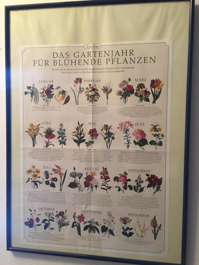 Valerie'S Guesthouse Feldolling エクステリア 写真